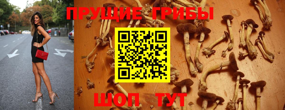 Галлюциногенные грибы GOLDEN TEACHER  Вход с VPN  Псилоцибиновые грибы Psilocybe  Бирск 